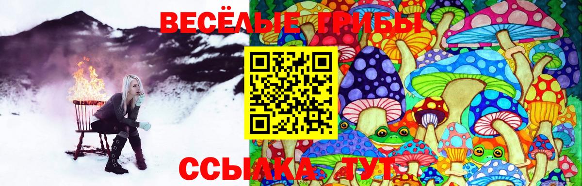 Псилоцибиновые грибы ЛСД Кимры
